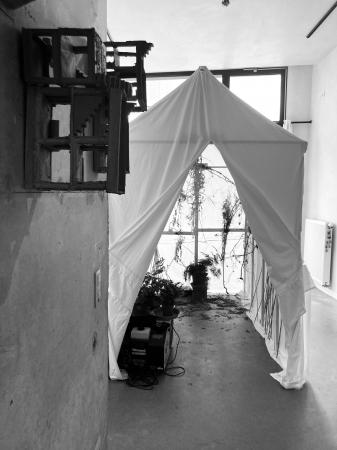  Green house only greener gallery view