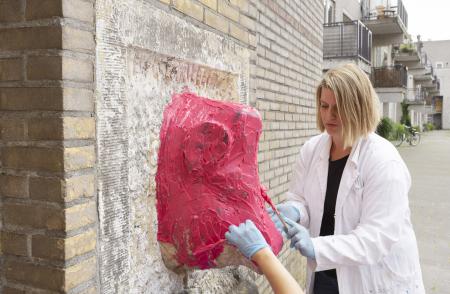  Project MUDDY PINK DINSAUR