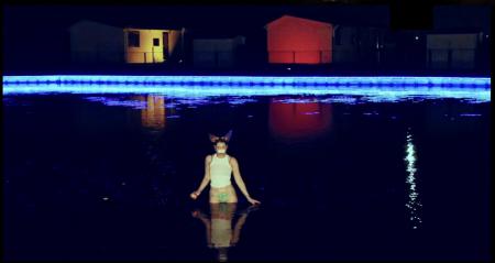  Contemplating Metamorphosis