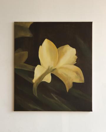  Narcis, een bloem van veerkracht.