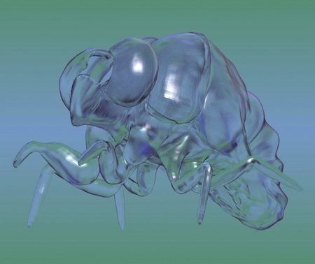  Metamorfose -3D-rendering