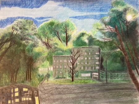  "Habitat Lost" series