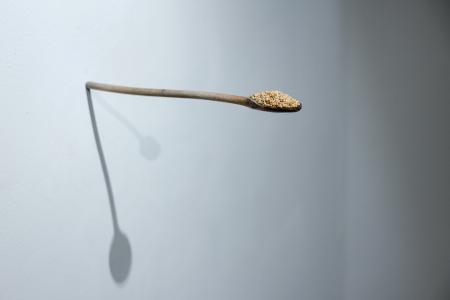  Untitled. (Catch)