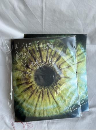  In The Forest Behind My Father's House