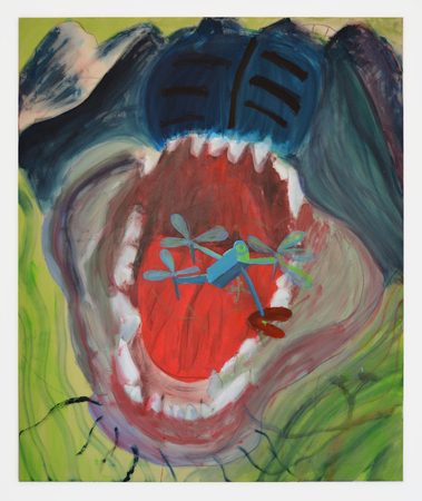 drone biting-flyingaway/evaporation mountain eye 1  drone biting-flyingaway/evaporation mountain eye 1