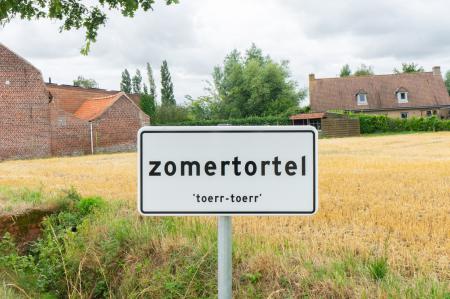  Zomertortel