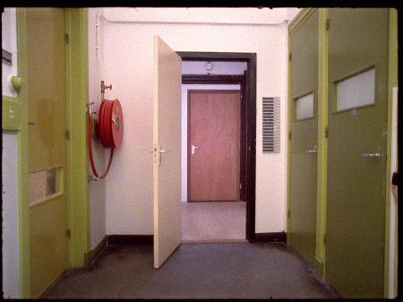  The green eyed monster