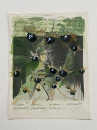  Belladonna