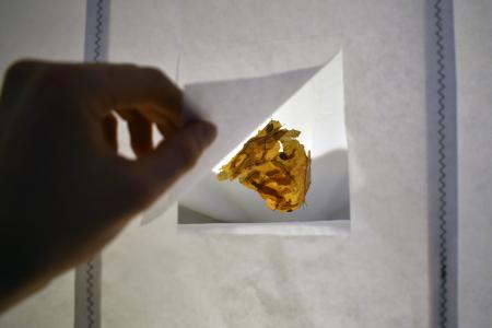 As Tangible Horizons  As Tangible Horizons