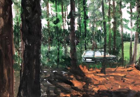 Auto am Rande des Waldes