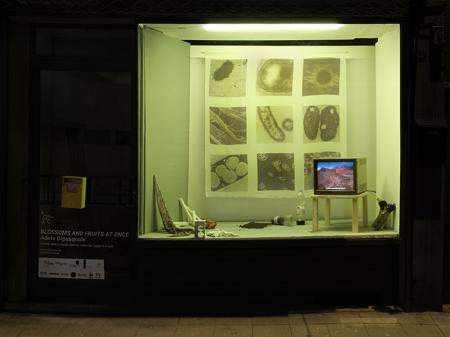  Blossoms and fruits at once