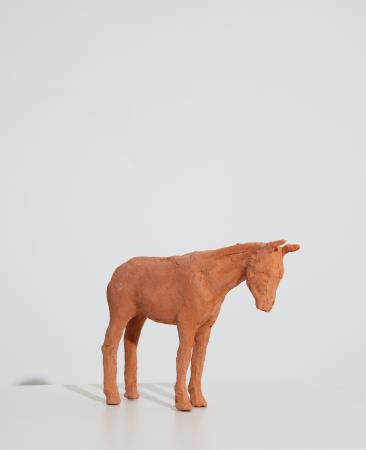  Around the Clay – Rabil, 2025