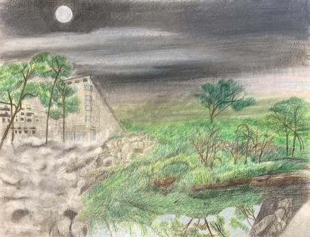  "Habitat Lost" series