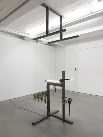  Brushless Thoughts, de heldere essentie