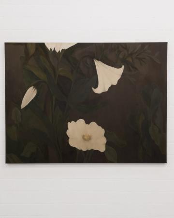  Verborgen in daglicht