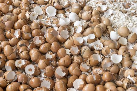  Walking on eggshells