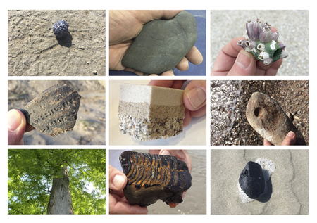  Personal reference collection of fossils and/or artifacts