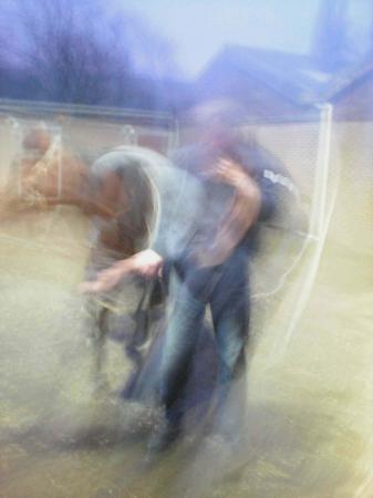  Man& Paard