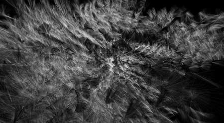  Alignments from Boids