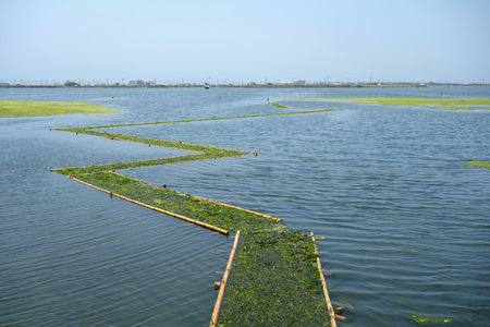  Microclimatic Lifeline