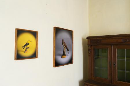  Taalvlucht, Kunstenfestival Watou 2023