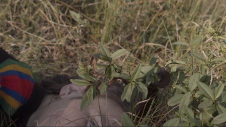  First it sleeps, second it creeps, third it leaps