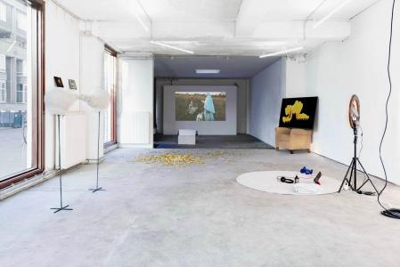  Getting inside the head of an ox