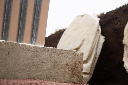  The structure of things to come: The favor of survival (2025)