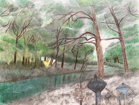  "Habitat Lost" series