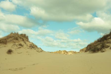  Mirroring Fields (Unstable Ground, iteration 04)