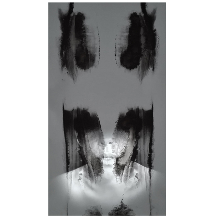  "Study of the psychological interpretation of inkblots" _ Lost identity