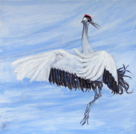 kraanvogel danst  kraanvogel danst