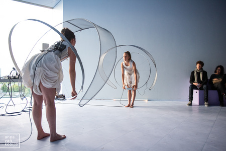  Magnetoceptia - Crinolettes | Gyration Resistance