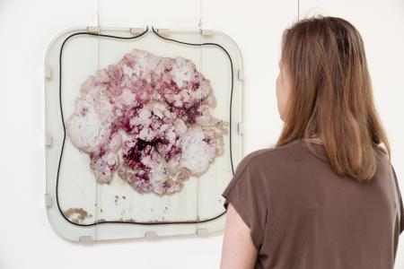  Brains Exploded View