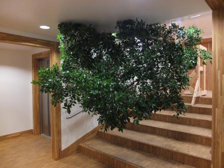  Free floating tree / obstruction